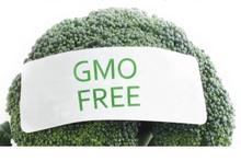 Broccoli labeled GMO Free